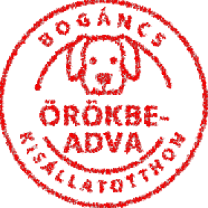 Örökbefogadott kutya