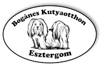 Bogáncs Kutyamenhely, Esztergom