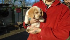 007