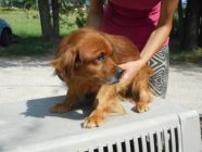 bogancs-burok190724_2