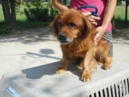 bogancs-burok190724_4