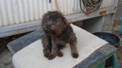 bogancs-cukipelus211030_2