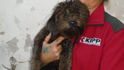 bogancs-cukipelus211030_3