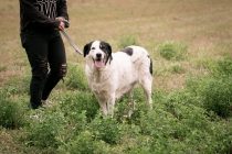 bogancs-dunja201023_3