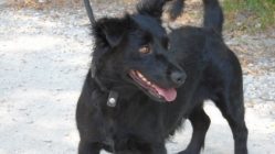 bogancs-juna200814_3