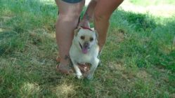 bogancs-jupi210705_2