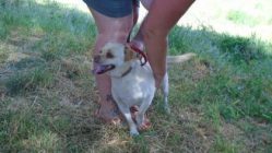 bogancs-jupi210705_3