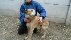 bogancs-kesztolcipocak211120_3