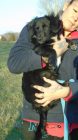 bogancs-lita211116_2