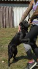 bogancs-lorin210723_4
