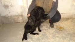 bogancs-martonimandy211117_4