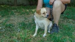 bogancs-norbit210622_3