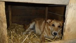 bogancs-puncs211030_4