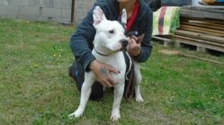 bogancs-quinny211030_2