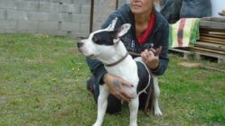 bogancs-quinny211030_3