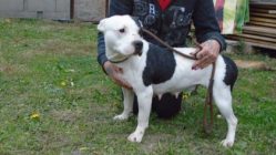 bogancs-quinny211030_4