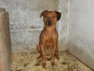 bogancs-tanni181123_2