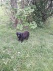 bogancs-vivi210522_2