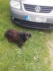 bogancs-vivi210522_4