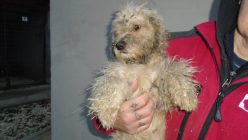 Dsc02116
