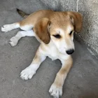 Img 1039 1024x1024.jpeg