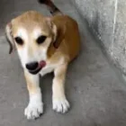 Img 1040 150x150.jpeg