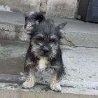 Img 1845 1024x1024