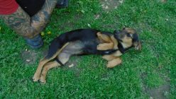 085