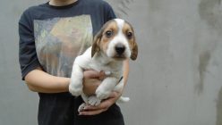 Dsc01548