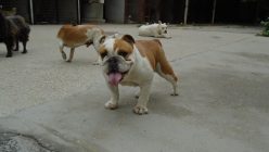 Dsc00566