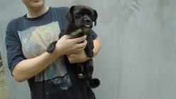 Dsc01508