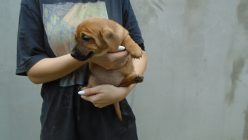 Dsc01517