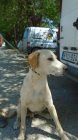 Dsc00893