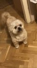 Img 3736