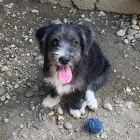 Mildo 10 1024x1024.jpg