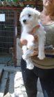 Dsc00918