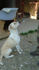 Dsc01855