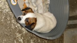 Dsc00546