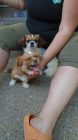 Dsc01121