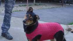 Dsc01980