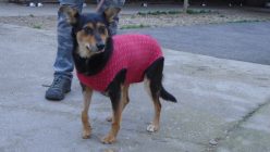 Dsc01981