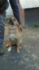 Dsc01726