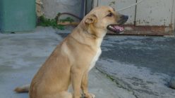 Dsc01735