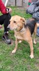 20240308 151435