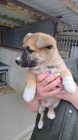 20250414 145930