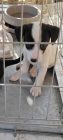 370335281 616084867346097 7395159648118573057 N (1)