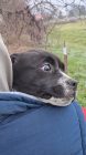20241210 151849