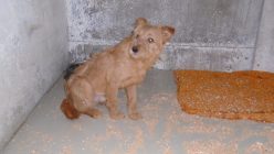 Dsc01083