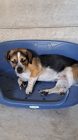 20240904 140846