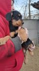 20240117 134905